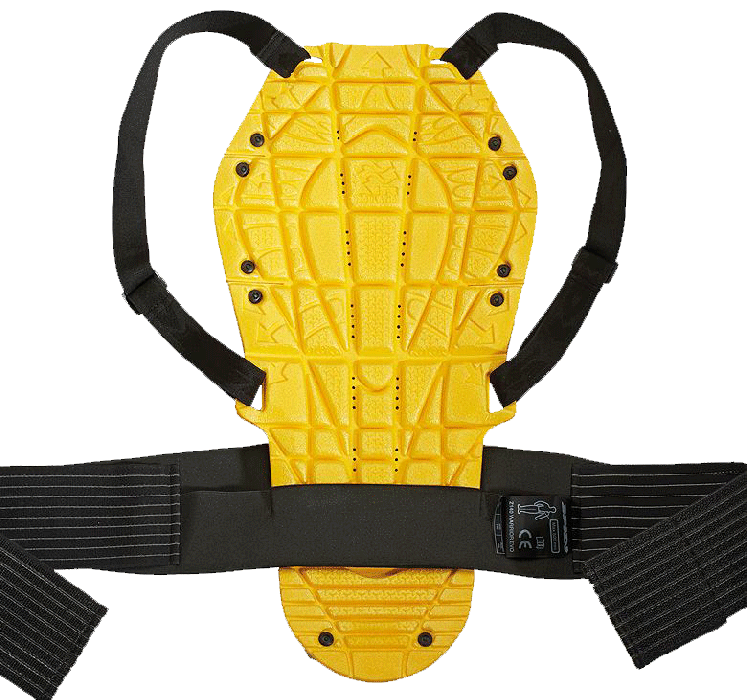 Back Warrior Evo