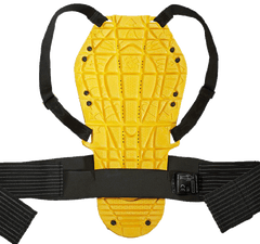 Back Warrior Evo